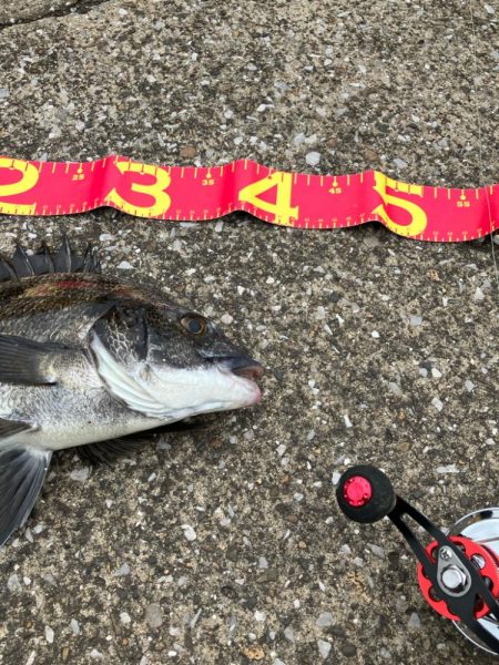 こんな所にもいるんだ⁉︎