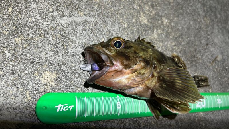 ライトワインド