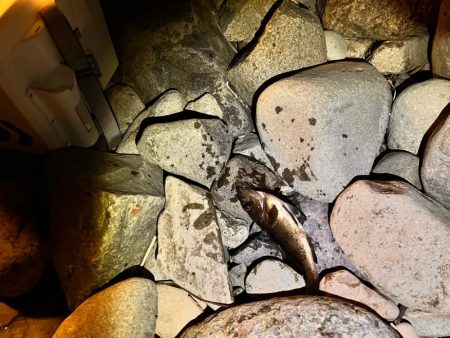 時合短いがポツポツと