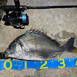 淀川ブリームゲーム