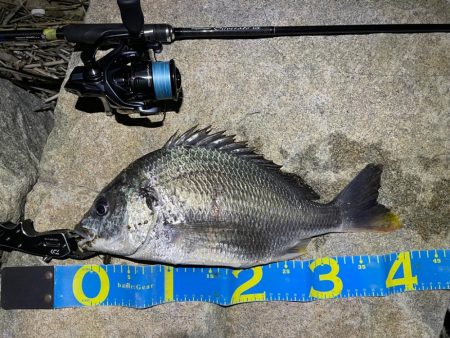 淀川ブリームゲーム