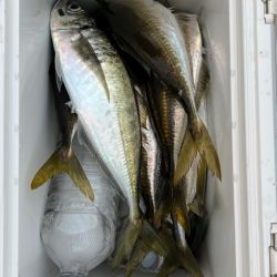 ながーい沈黙を経てウキスポ(°▽°)