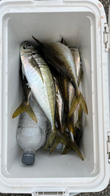 ながーい沈黙を経てウキスポ(°▽°)