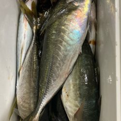 タイミング良く(*’▽’*)