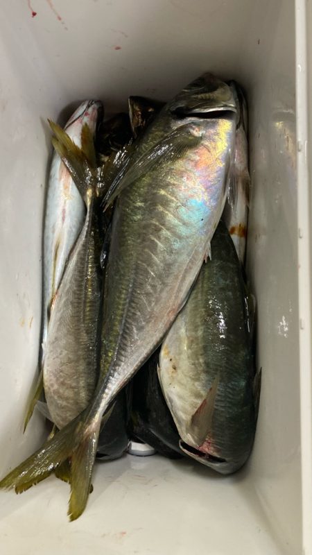 タイミング良く(*’▽’*)