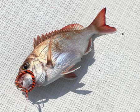 2025.5Mission大阪湾のつり①