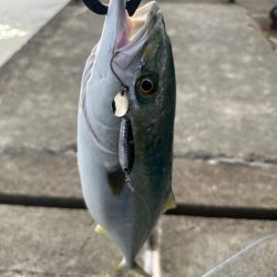 ライトショアジギング