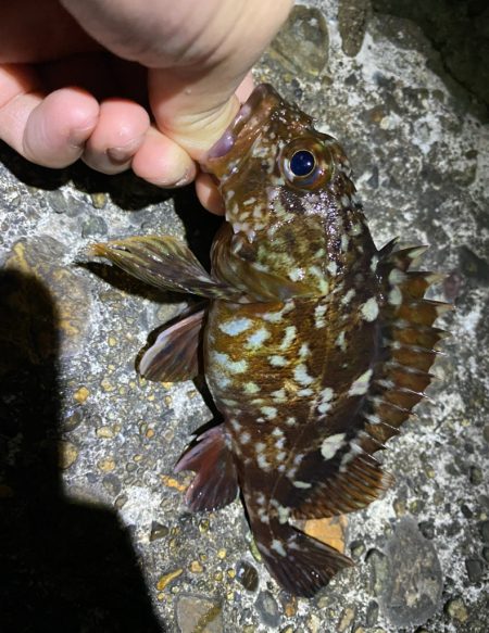 打ちまくられた荒地