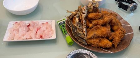 チヌ狙いだがボラ祭りに、、、