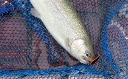 多摩湖フィッシングエリア