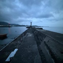 シロギス釣り🎣