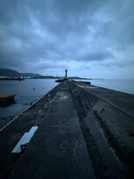 シロギス釣り🎣