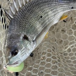 淀川　場所ムラがすごい