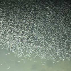 今年はの夫婦での遠征!!