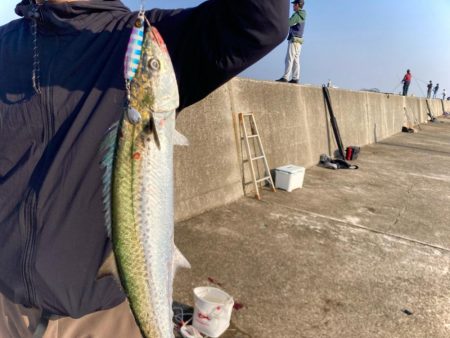 マキマキのボトムからの巻き上げにゃ！