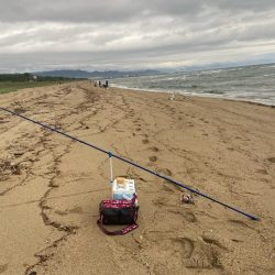 ダイワ2025キストーナメント香川