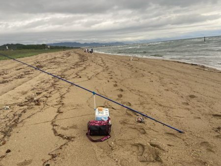 ダイワ2025キストーナメント香川