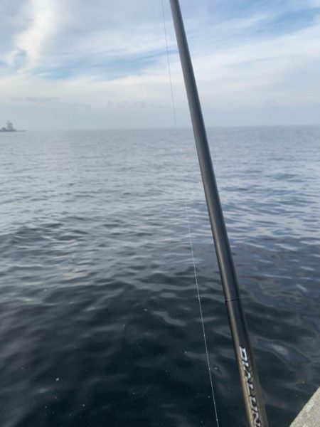 朝マヅメシーバス