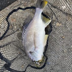 当たりは多いが