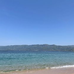 海水温が低い！