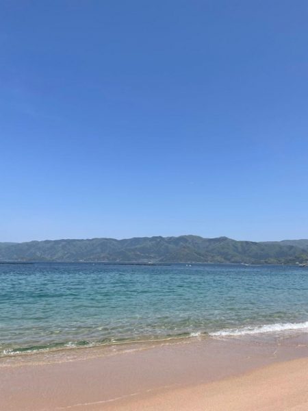 海水温が低い！