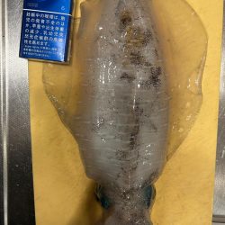 マルイチ君出撃