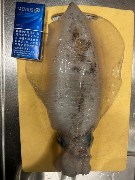 マルイチ君出撃