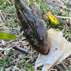 そこをネチネチ