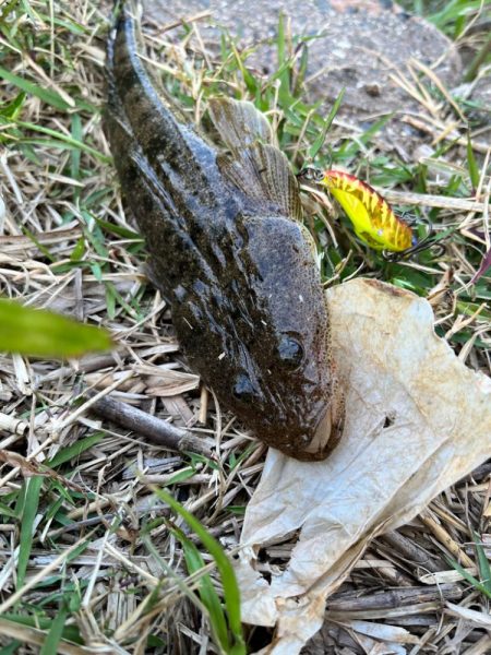 そこをネチネチ