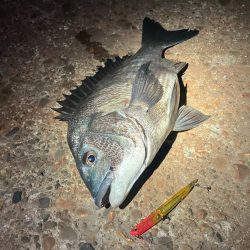 マニックに食ってきた！