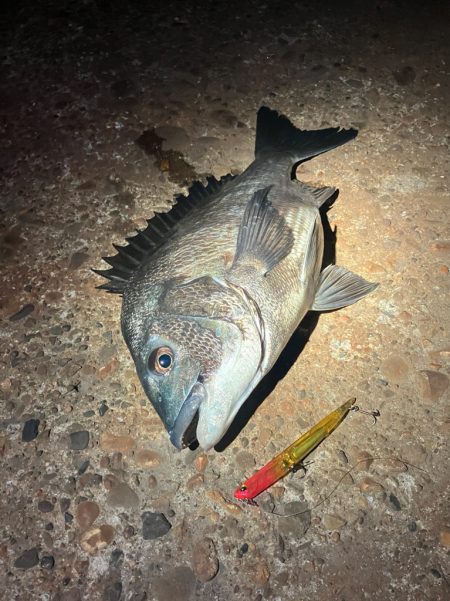 マニックに食ってきた！