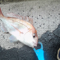 渋すぎヒトツテンヤ