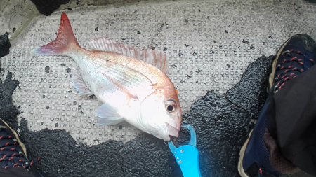 渋すぎヒトツテンヤ