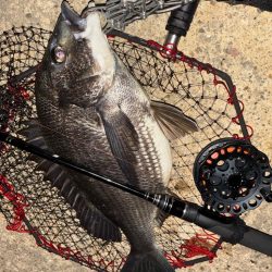 ヘチってきました