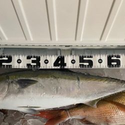 鯛ラバ、オフショアジギング