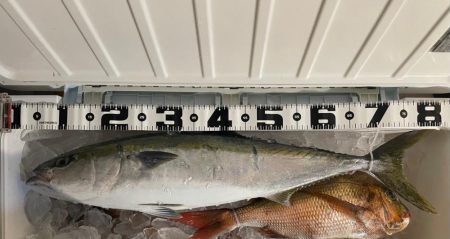 鯛ラバ、オフショアジギング