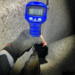 春アオリ🦑!開幕!!(^o^)/