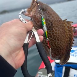 サップフィッシング