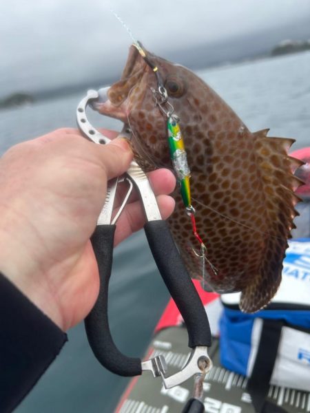 サップフィッシング