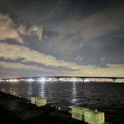 今日はメバルだけ