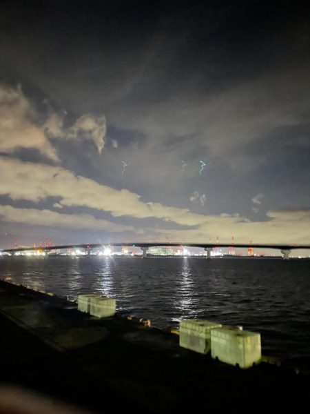 今日はメバルだけ