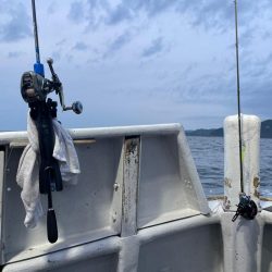 ナイトバチコン