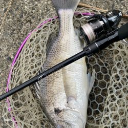 ニュータックル！