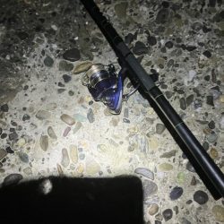 東二見メバル20