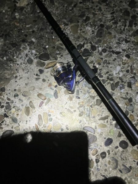 東二見メバル20