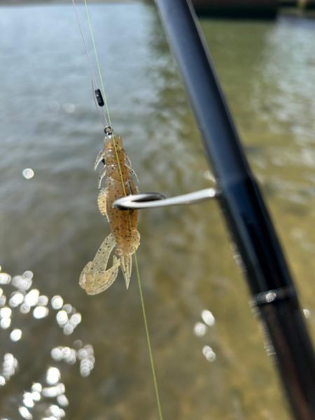 今年3枚目！(笑)