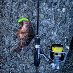 ライトゲーム…