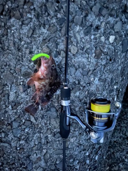 ライトゲーム…