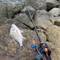 本日2回戦目は淀川で！