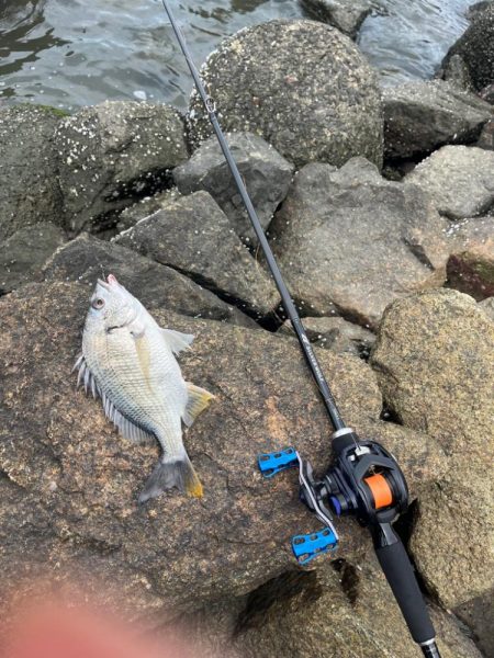 本日2回戦目は淀川で！